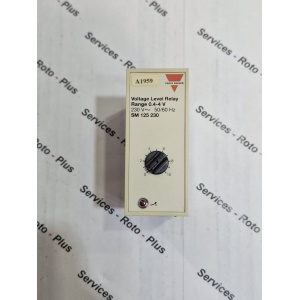 VOLTAGE LEVEL RELAY
