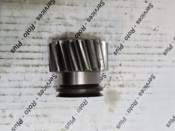 PINION - Image 2